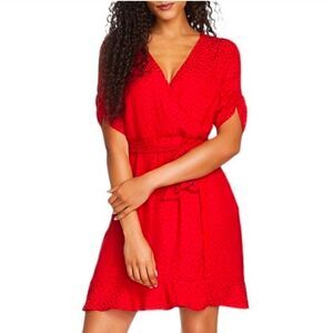 1.State Leopard Print red mini dress